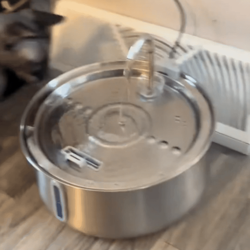 Automatic Water Dispenser Stainless Steel 4L - Fetch & Feline™️