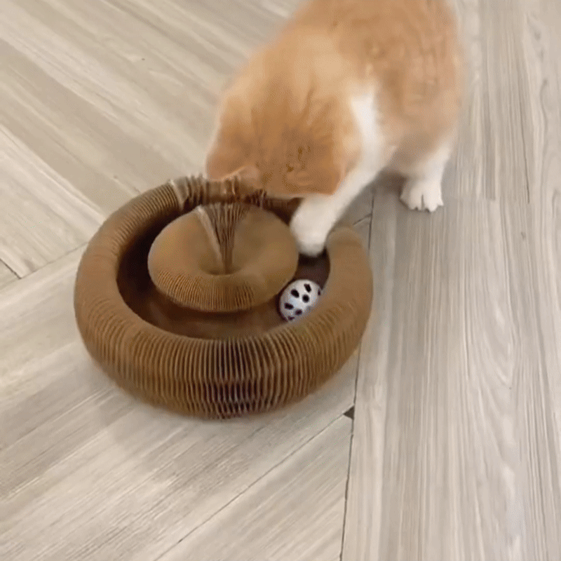 Durable Scratch Board Transformable Cat Toy Water Resistant - Fetch & Feline ™️
