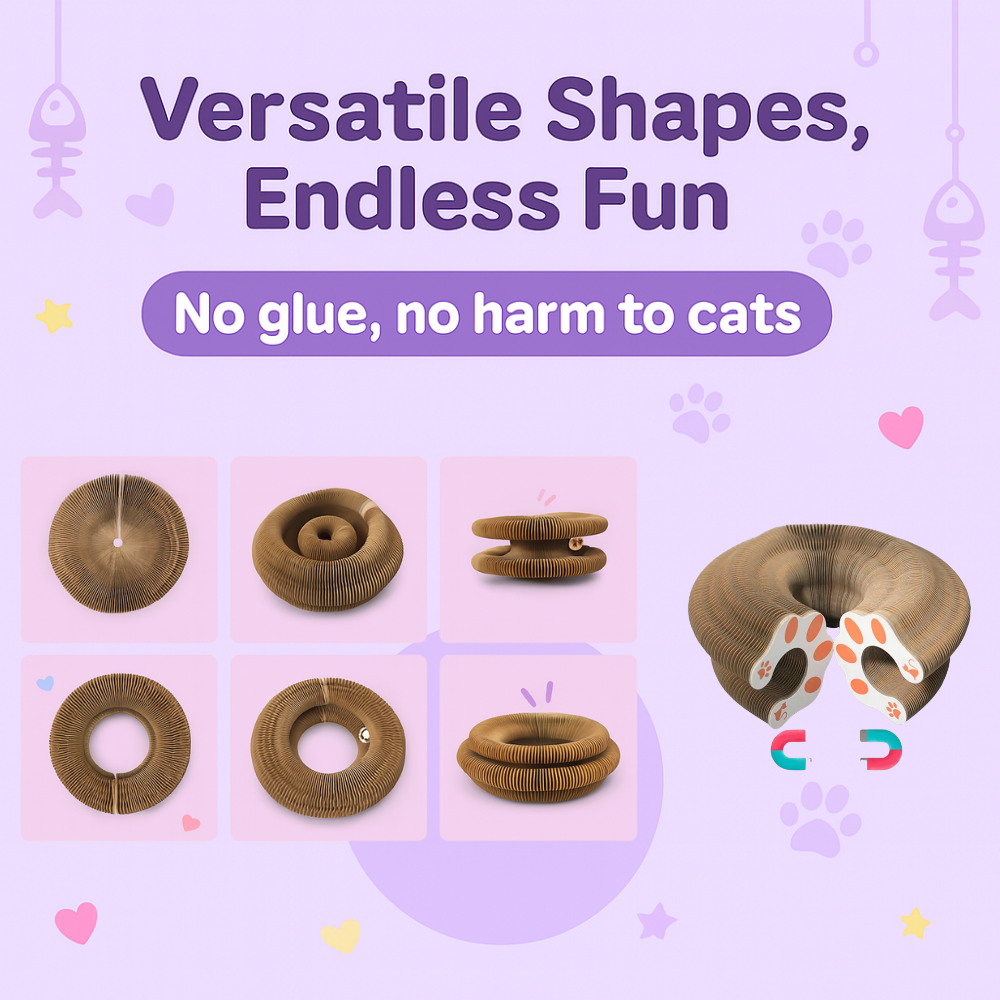 Durable Scratch Board Transformable Cat Toy Water Resistant - Fetch & Feline ™️