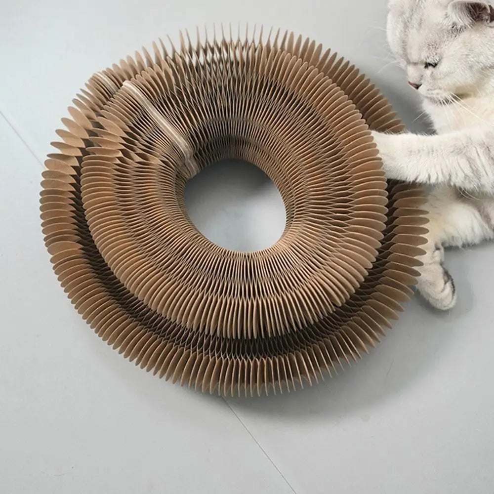 Durable Scratch Board Transformable Cat Toy Water Resistant - Fetch & Feline ™️