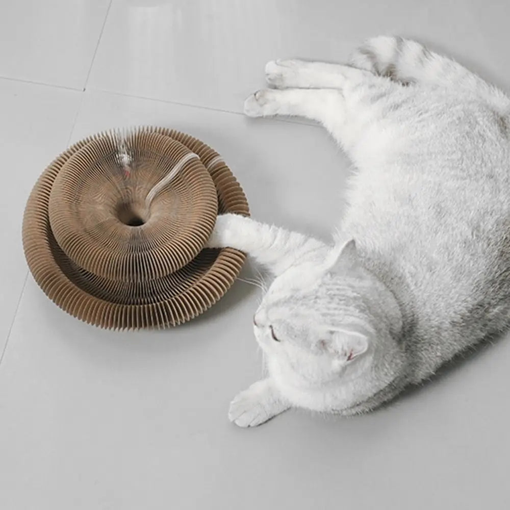 Durable Scratch Board Transformable Cat Toy Water Resistant - Fetch & Feline ™️