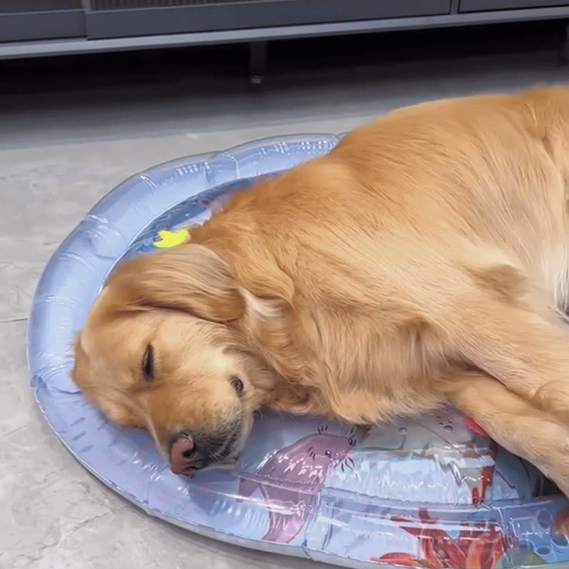 Summer Pet Nest Water Ice Cushion - Fetch & Feline™️
