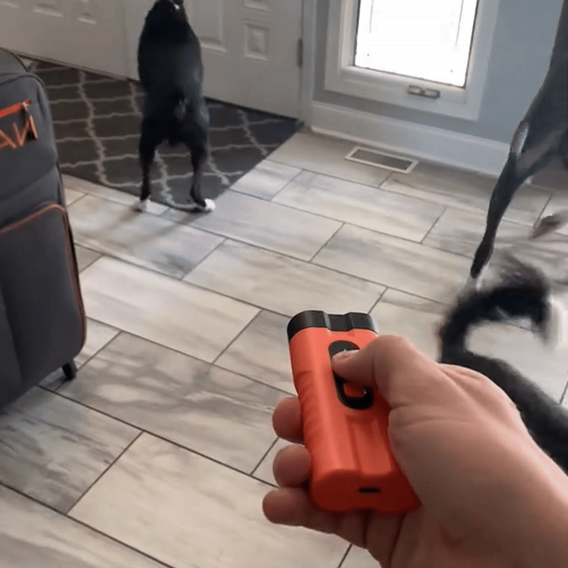 Dog Repeller Ultrasonic Rechargeable - Fetch & Feline™️