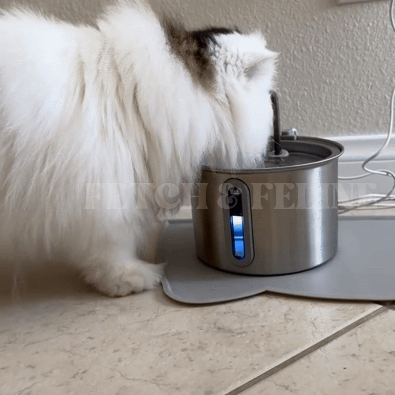 Automatic Fountain Stainless Steel 2.2L - Fetch & Feline™️