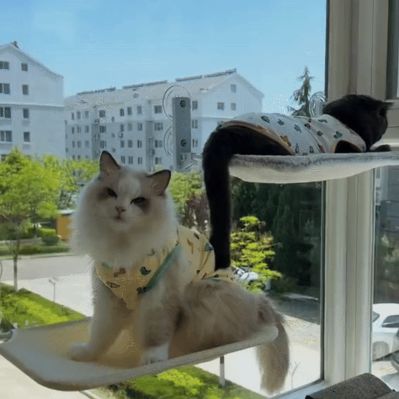 Cat Window Hammock Nest with Strong Suction Cups - Fetch & Feline™️