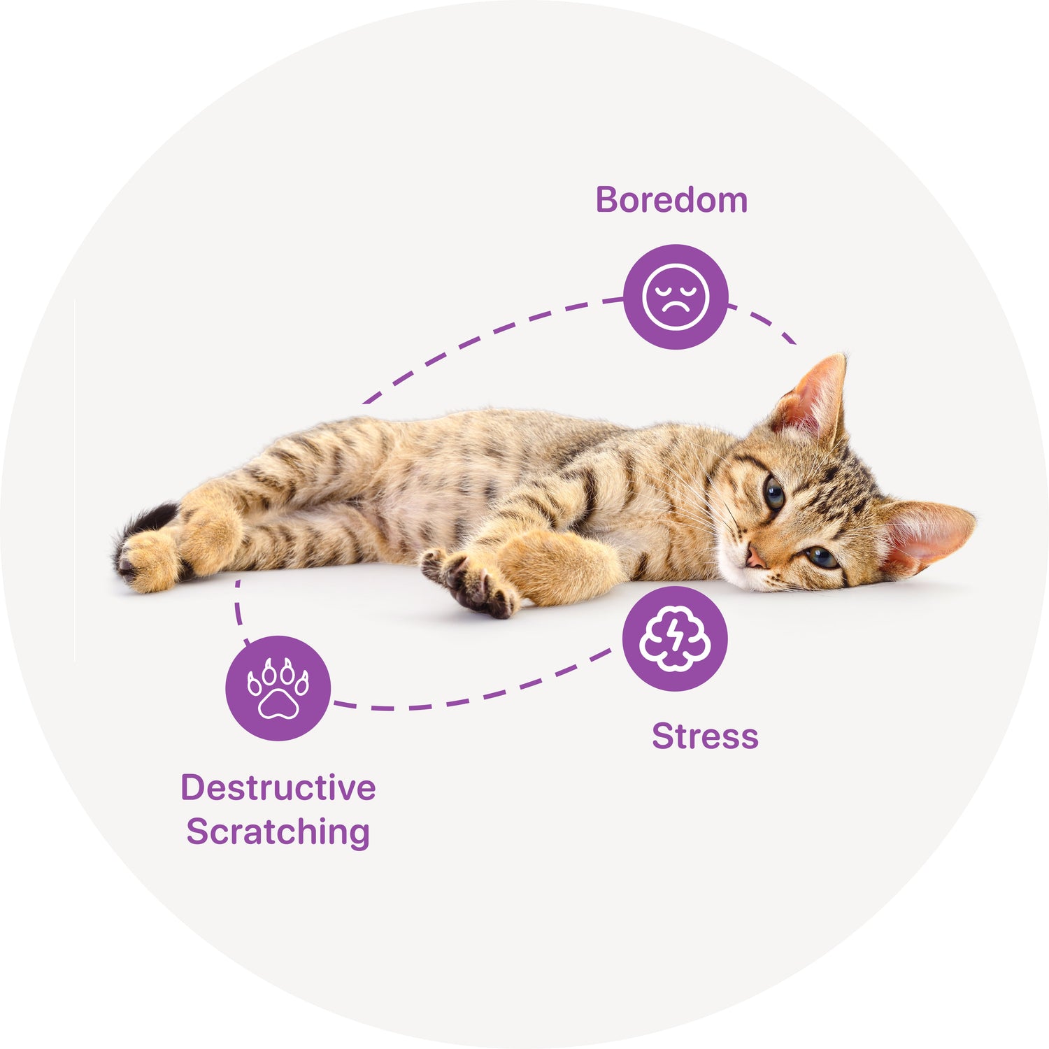 Behavior & Mental Well-Being