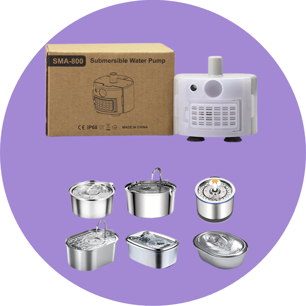 Smart Accessories