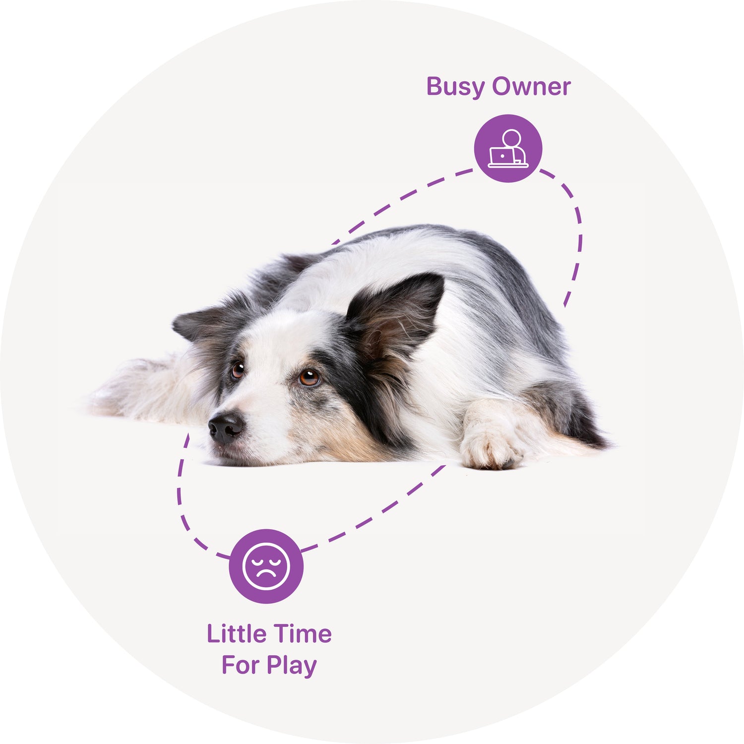 For Busy Owner