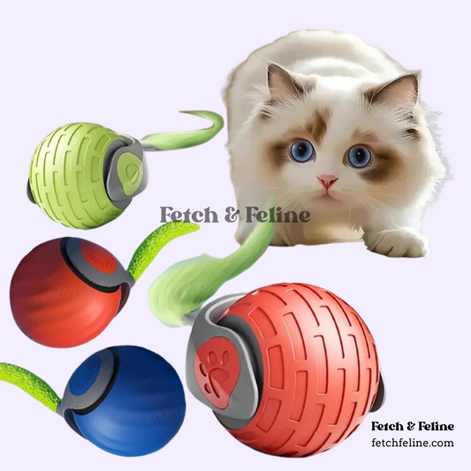 Automatic Balls with Tail Cat Toys 2025 - Fetch & Feline™️
