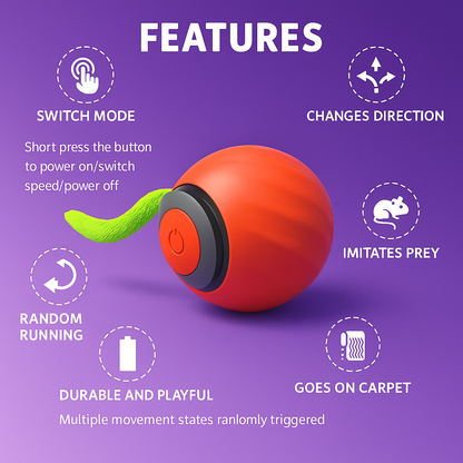 Automatic Balls with Tail Cat Toys 2025 - Fetch & Feline™️
