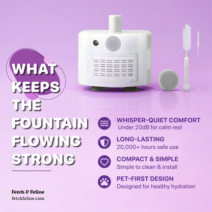 Fountain Motor Submersible Water Pump/Brush - Fetch & Feline™️