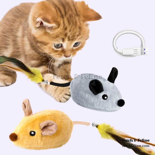 Smart Mouse Cat Toy 2025 - Fetch & Feline ™️