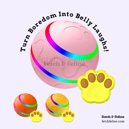 Automatic Pet Ball LED Flashing 2025 - Fetch & Feline™️