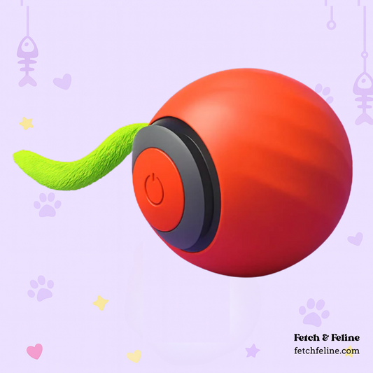 Automatic Balls with Tail Cat Toys 2025 - Fetch & Feline™️