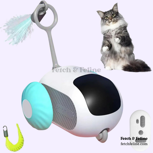 Remote Control Smart Cat Toy - Fetch & Feline™️