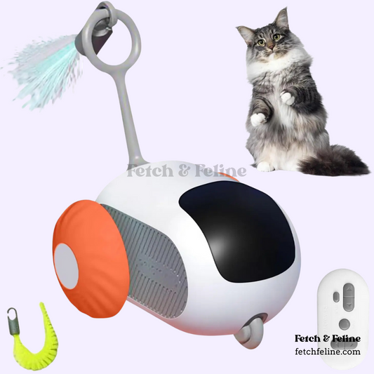 Remote Control Smart Cat Toy - Fetch & Feline™️