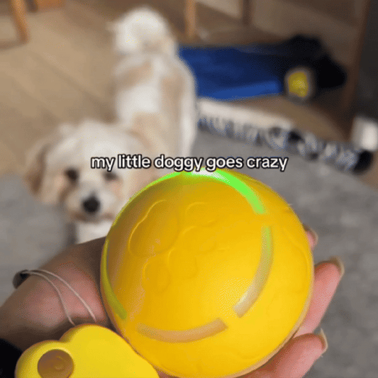 Automatic Pet Ball LED Flashing 2025 - Fetch & Feline™️