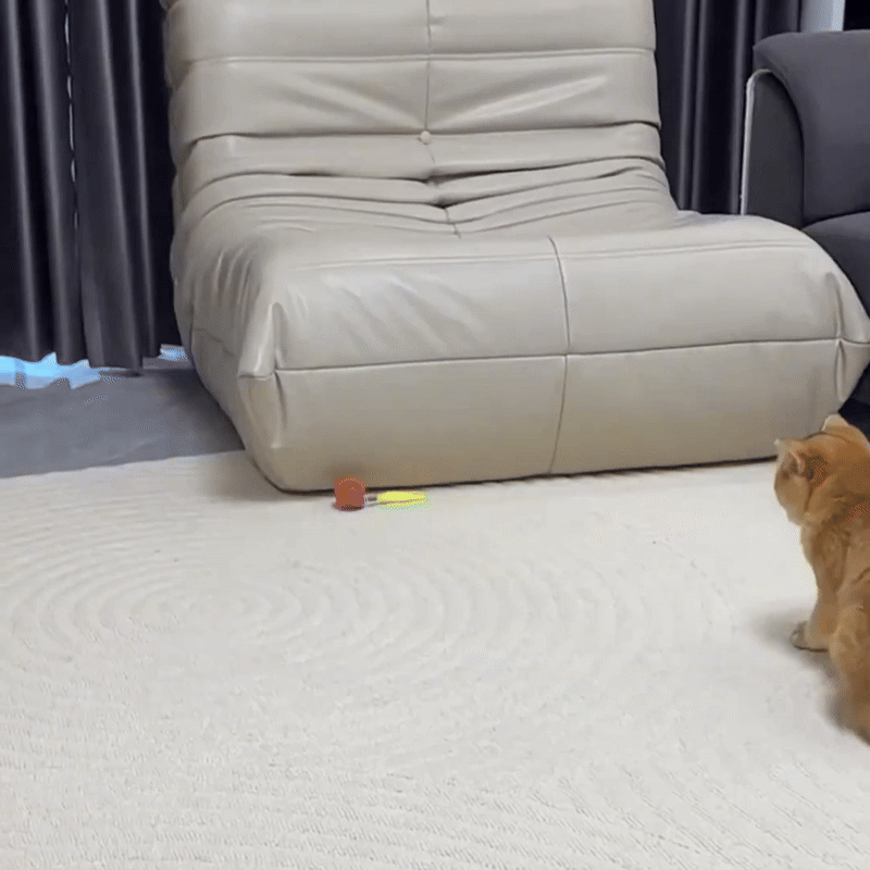 Automatic Balls with Tail Cat Toys 2025 - Fetch & Feline™️