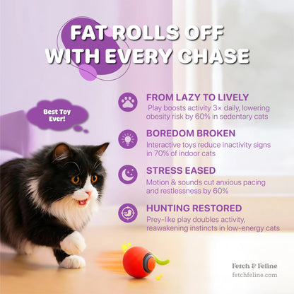 Automatic Balls with Tail Cat Toys 2025 - Fetch & Feline™️