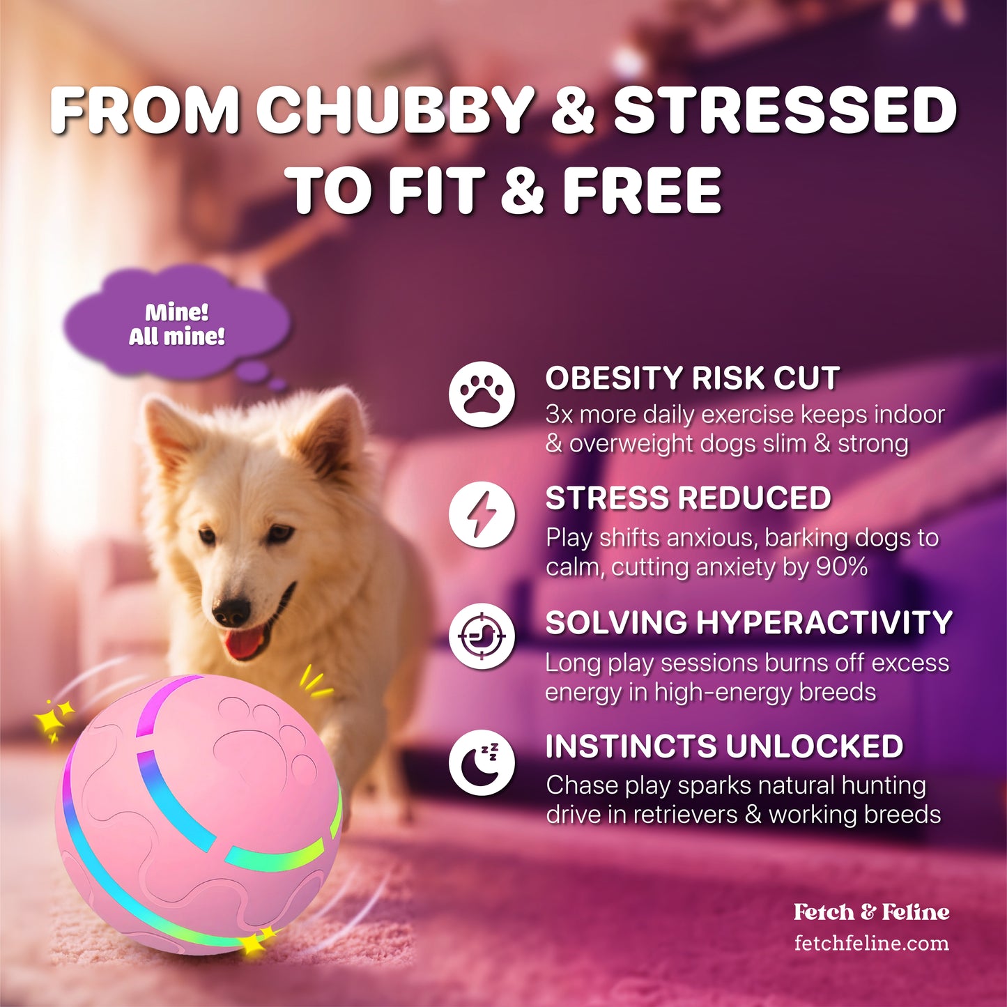 Automatic Pet Ball LED Flashing 2025 - Fetch & Feline™️