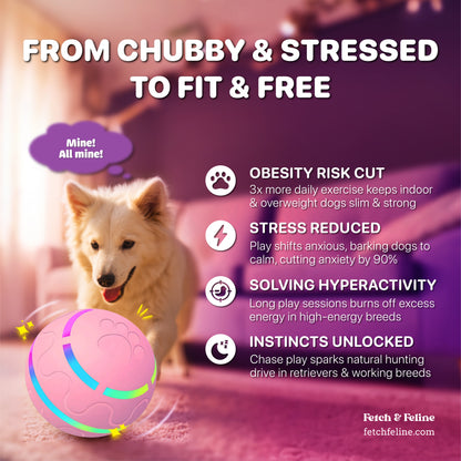 Automatic Pet Ball LED Flashing 2025 - Fetch & Feline™️