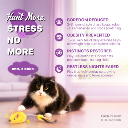 Smart Mouse Cat Toy 2025 - Fetch & Feline ™️