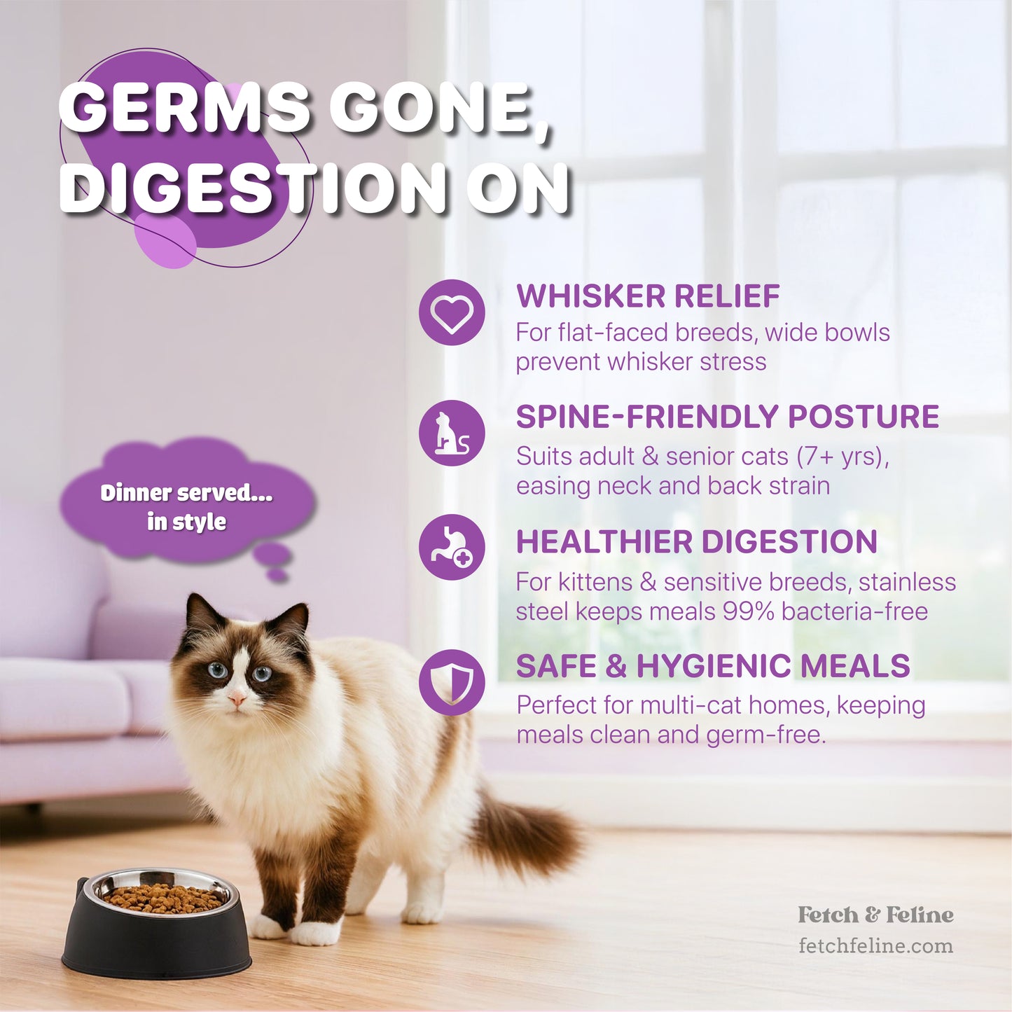Premium Stainless Steel Bowls for Pet Feeding Drinking  - Fetch & Feline™️