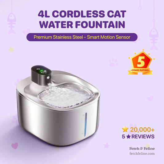 The FetchFeline™️ Cordless Fountain Stainless Steel Motion Sensor, 5-Stage Water Filter, 4L