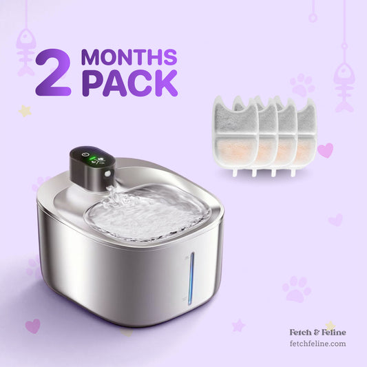 The FetchFeline™️ Cordless Fountain Stainless Steel Motion Sensor, 5-Stage Water Filter, 4L