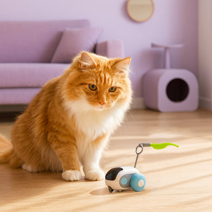 Remote Control Smart Cat Toy - Fetch & Feline™️