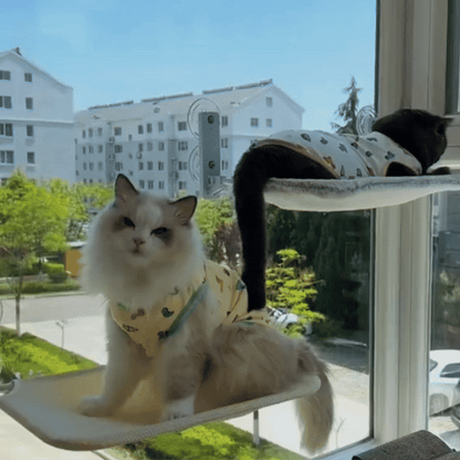 Cat Window Hammock Nest with Strong Suction Cups - Fetch & Feline™️
