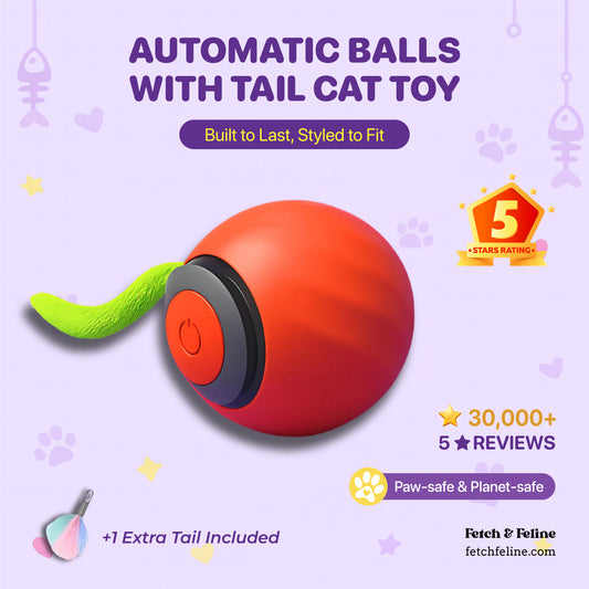 Automatic Balls with Tail Cat Toys 2025 - Fetch & Feline™️