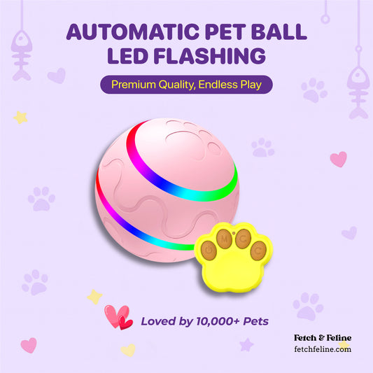 Automatic Pet Ball LED Flashing 2025 - Fetch & Feline™️