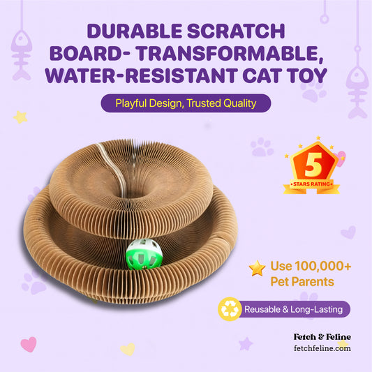 Durable Scratch Board Transformable Cat Toy Water Resistant - Fetch & Feline ™️