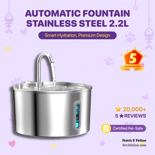 Automatic Fountain Stainless Steel 2.2L - Fetch & Feline™️