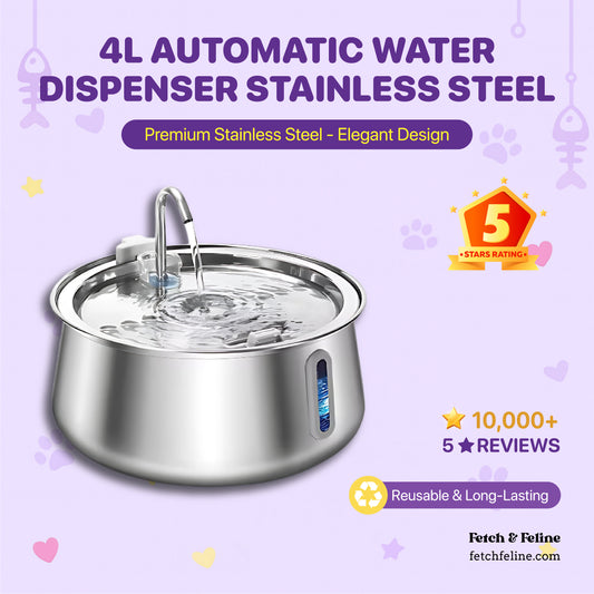 Automatic Water Dispenser Stainless Steel 4L - Fetch & Feline™️