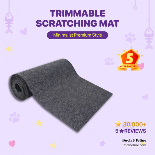 Trimmable Scratching Mat - Fetch & Feline™️