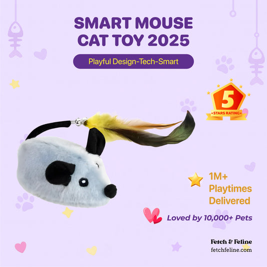 Smart Mouse Cat Toy 2025 - Fetch & Feline ™️