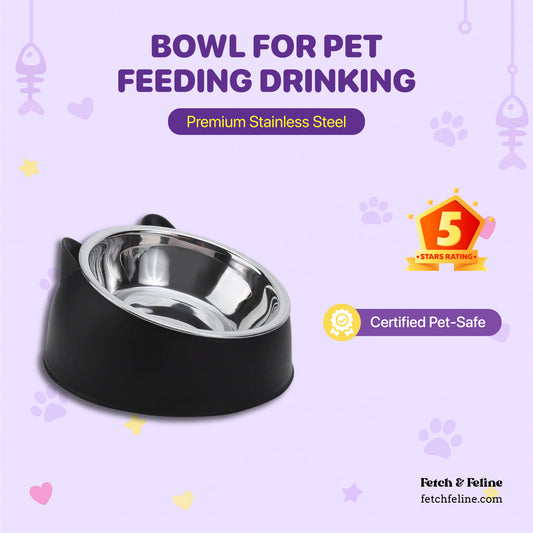Premium Stainless Steel Bowls for Pet Feeding Drinking  - Fetch & Feline™️