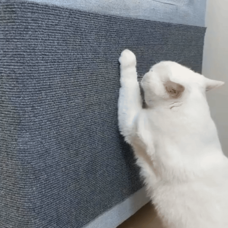 Trimmable Scratching Mat - Fetch & Feline™️