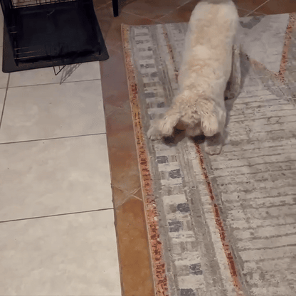 Automatic Pet Ball LED Flashing 2025 - Fetch & Feline™️